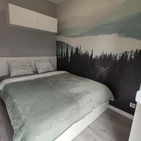 Nowoczesny Dla Par Apartment *